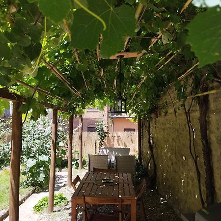 Il Cantuccio- Appartamento In Centro Con Giardino Volterra Eksteriør bilde