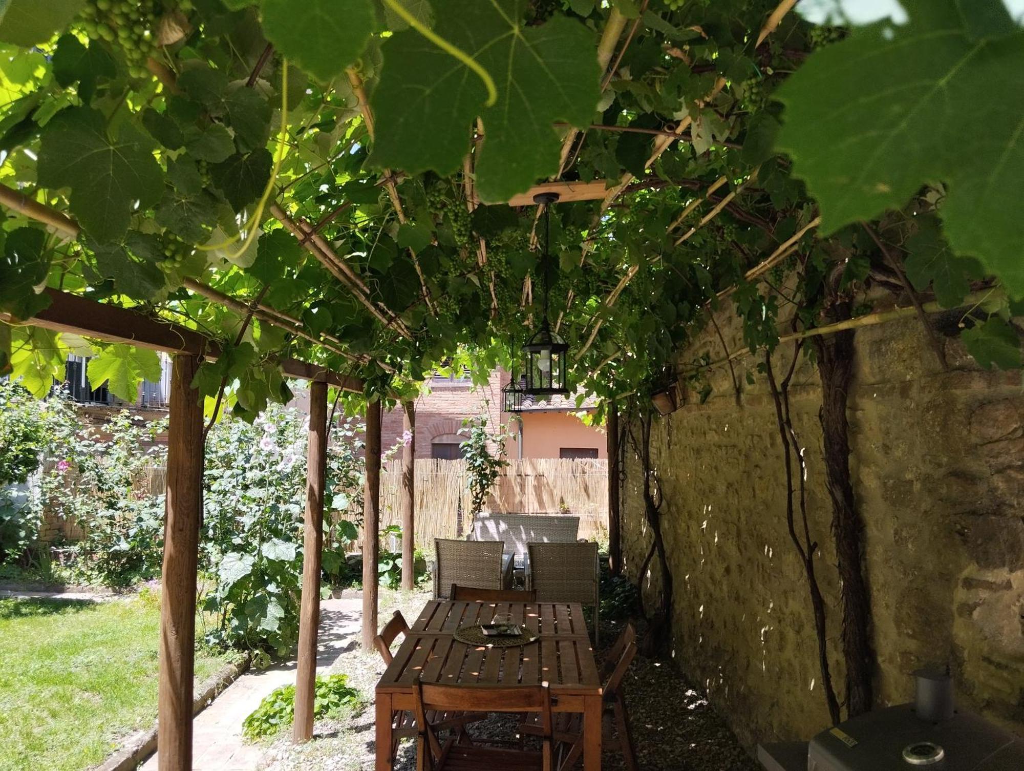 Il Cantuccio- Appartamento In Centro Con Giardino Volterra Eksteriør bilde
